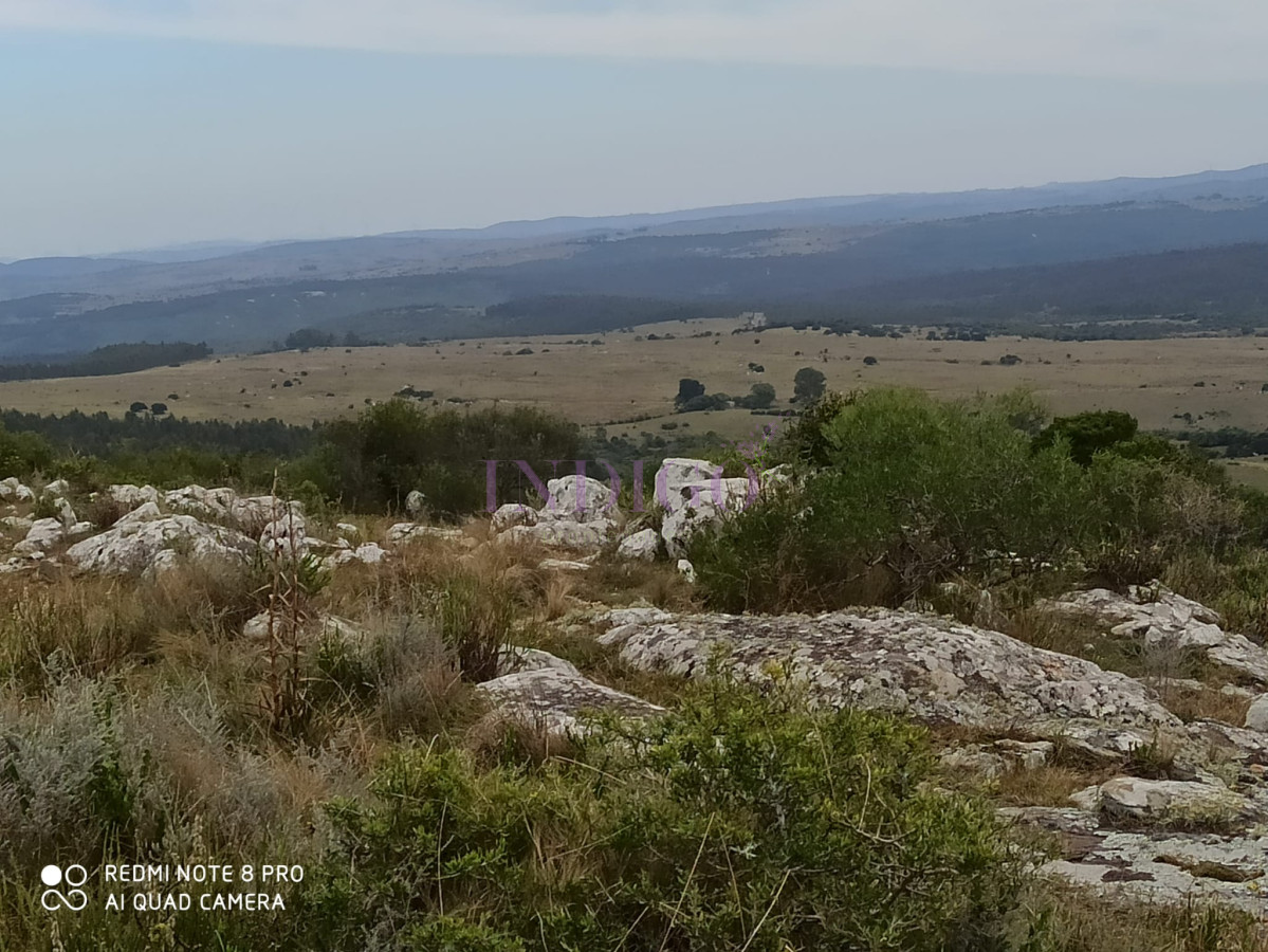 Las Cañas - GoPunta - Portal Inmobiliario de Punta del Este - Maldonado