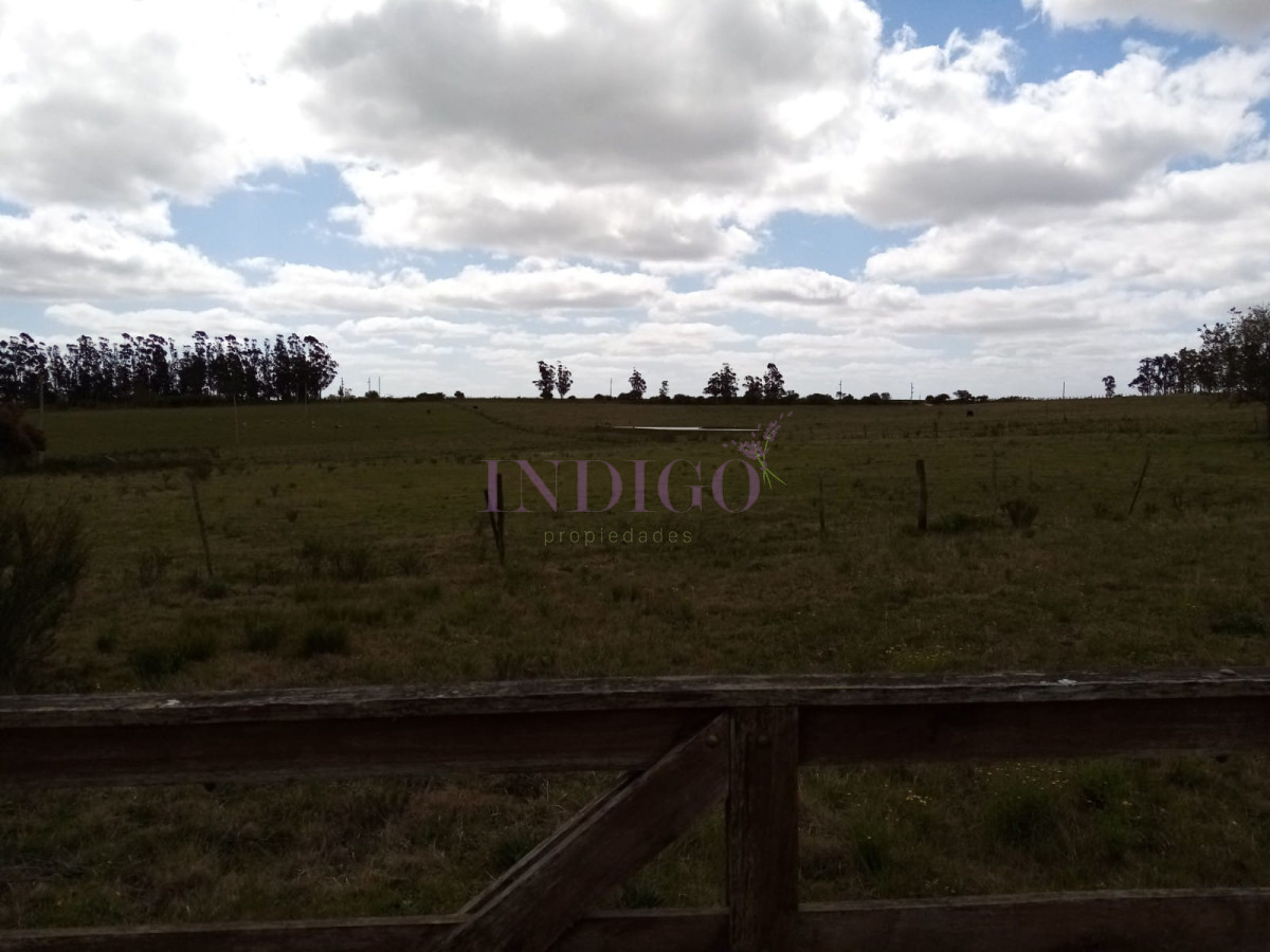 San Carlos - GoPunta - Portal Inmobiliario de Punta del Este - Maldonado