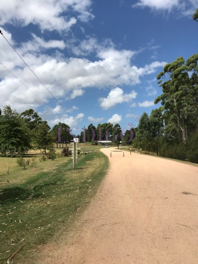 Camino Eguzquiza - GoPunta - Portal Inmobiliario de Punta del Este - Maldonado