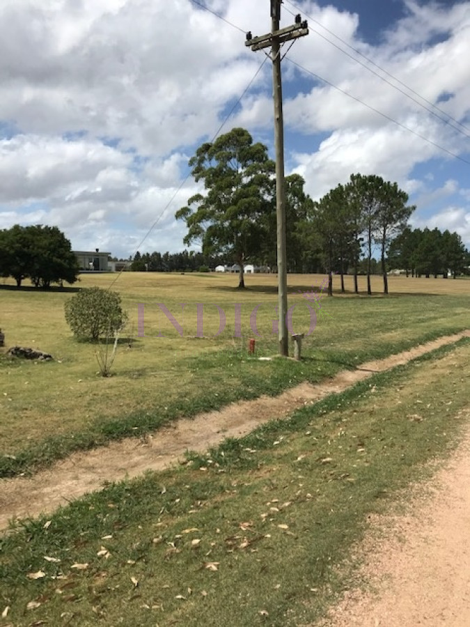 Camino Eguzquiza - GoPunta - Portal Inmobiliario de Punta del Este - Maldonado