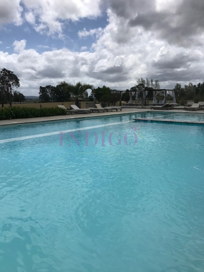 Camino Eguzquiza - GoPunta - Portal Inmobiliario de Punta del Este - Maldonado