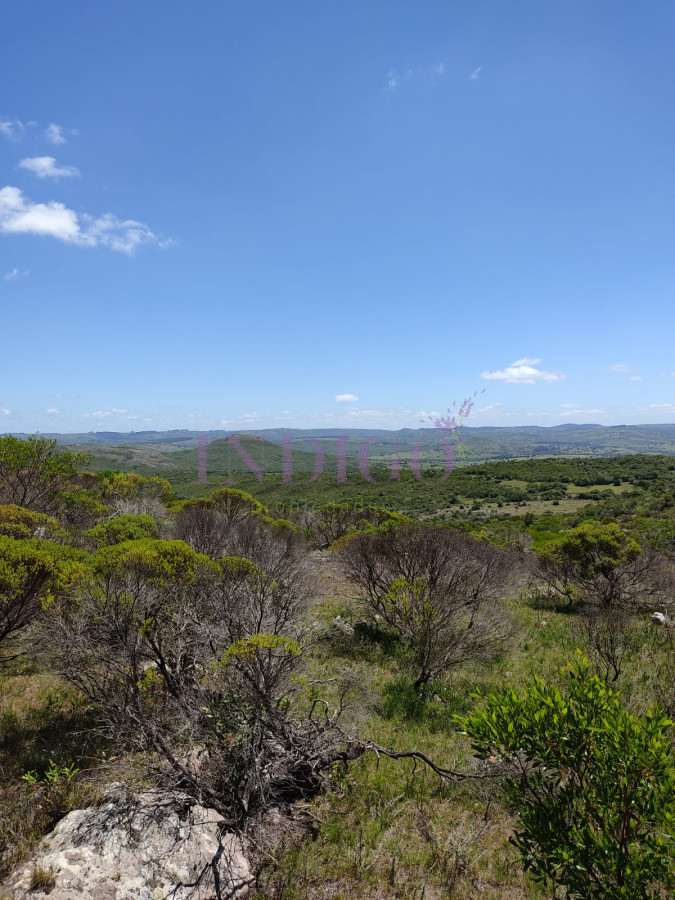 Campo en Pueblo Edén - GoPunta - Portal Inmobiliario de Punta del Este - Maldonado