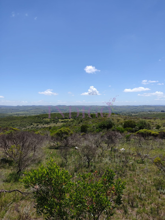 Campo en Pueblo Edén - GoPunta - Portal Inmobiliario de Punta del Este - Maldonado