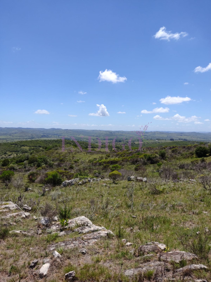 Campo en Pueblo Edén - GoPunta - Portal Inmobiliario de Punta del Este - Maldonado
