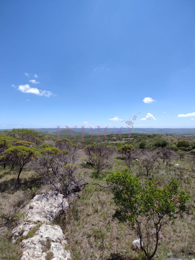 Campo en Pueblo Edén - GoPunta - Portal Inmobiliario de Punta del Este - Maldonado