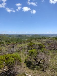 Campo en Pueblo Edén