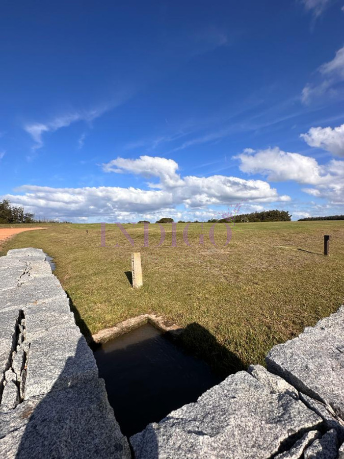 Las Garzas - GoPunta - Portal Inmobiliario de Punta del Este - Maldonado