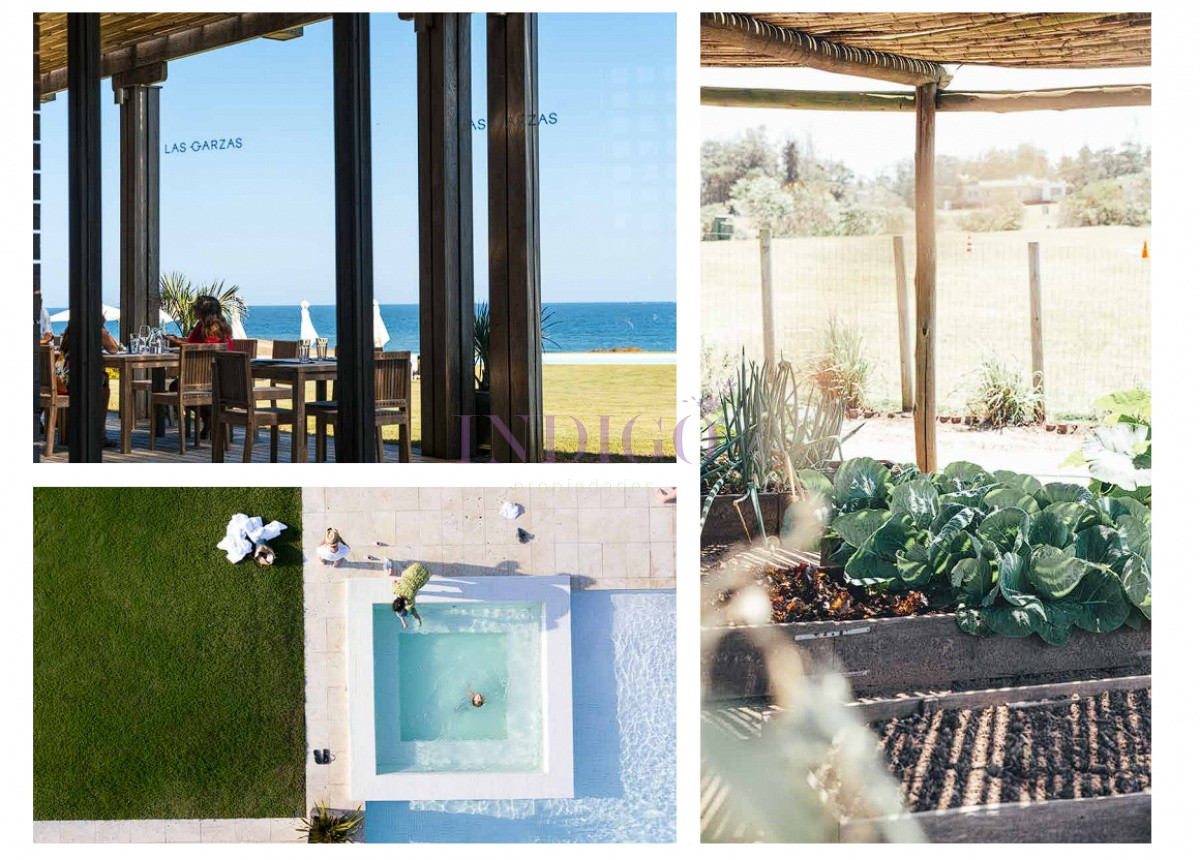Las Garzas - GoPunta - Portal Inmobiliario de Punta del Este - Maldonado