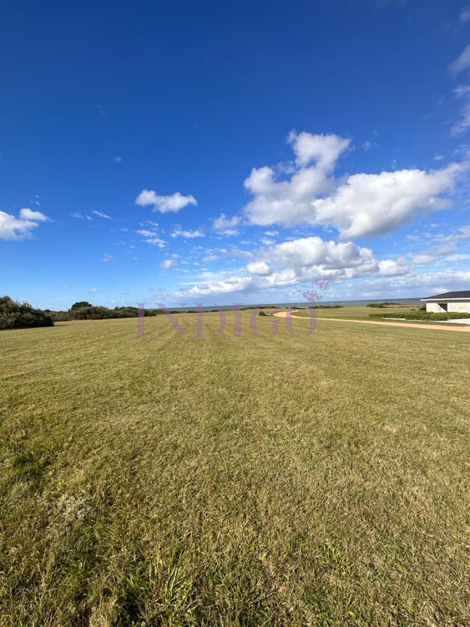 Las Garzas - GoPunta - Portal Inmobiliario de Punta del Este - Maldonado