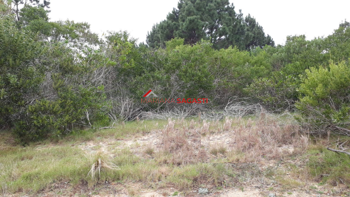 Arenas de José Ignacio - GoPunta - Portal Inmobiliario de Punta del Este - Maldonado