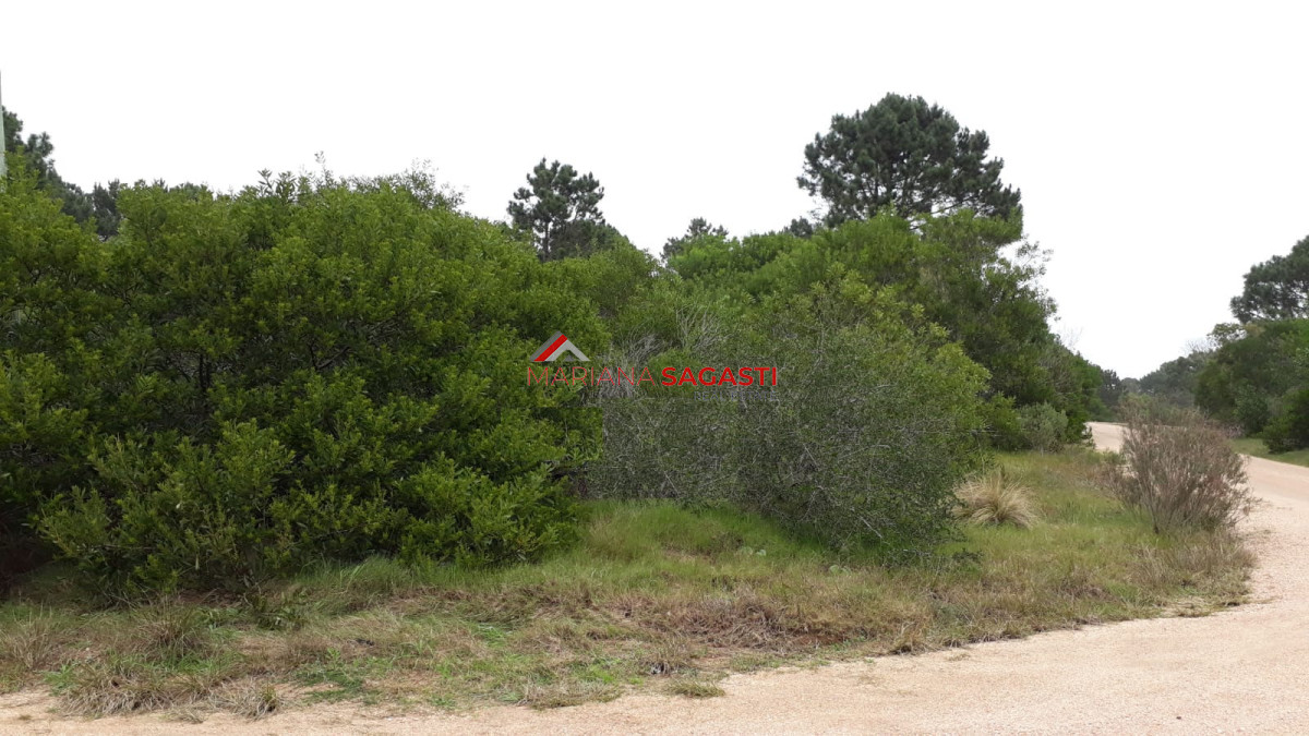 Arenas de José Ignacio - GoPunta - Portal Inmobiliario de Punta del Este - Maldonado