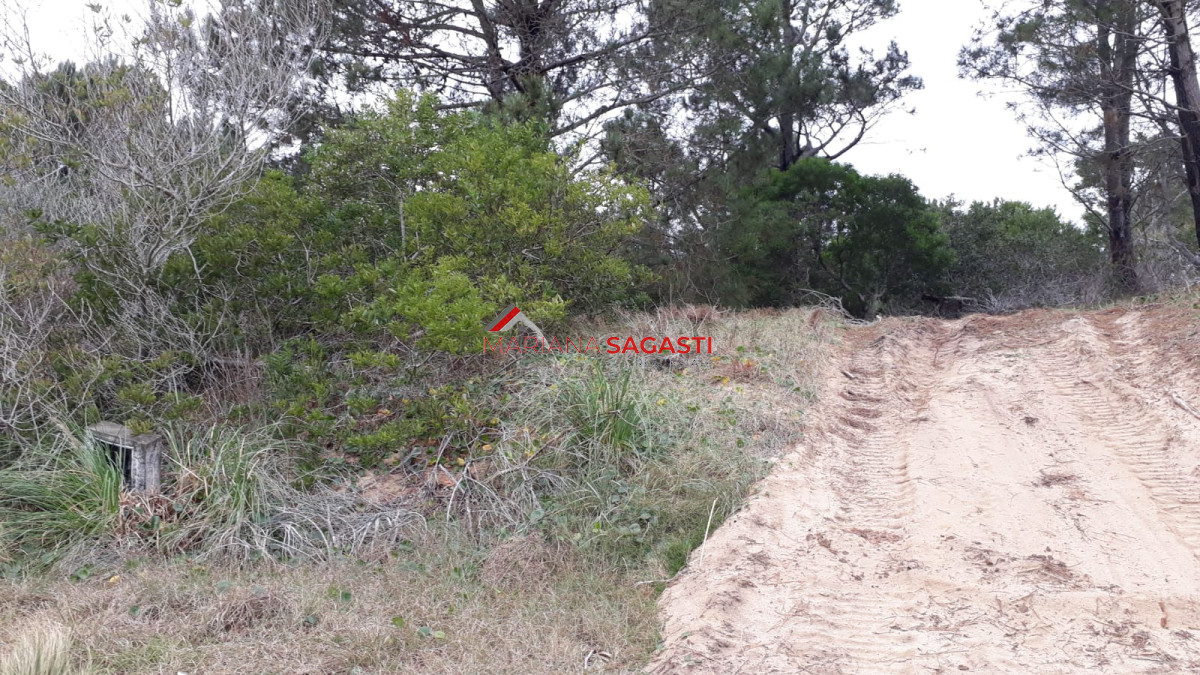 Arenas de José Ignacio - GoPunta - Portal Inmobiliario de Punta del Este - Maldonado