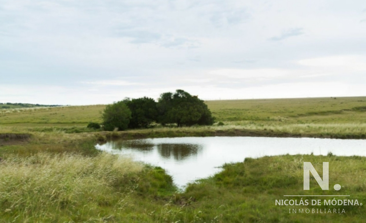 Campo en Jose Ignacio - GoPunta - Portal Inmobiliario de Punta del Este - Maldonado