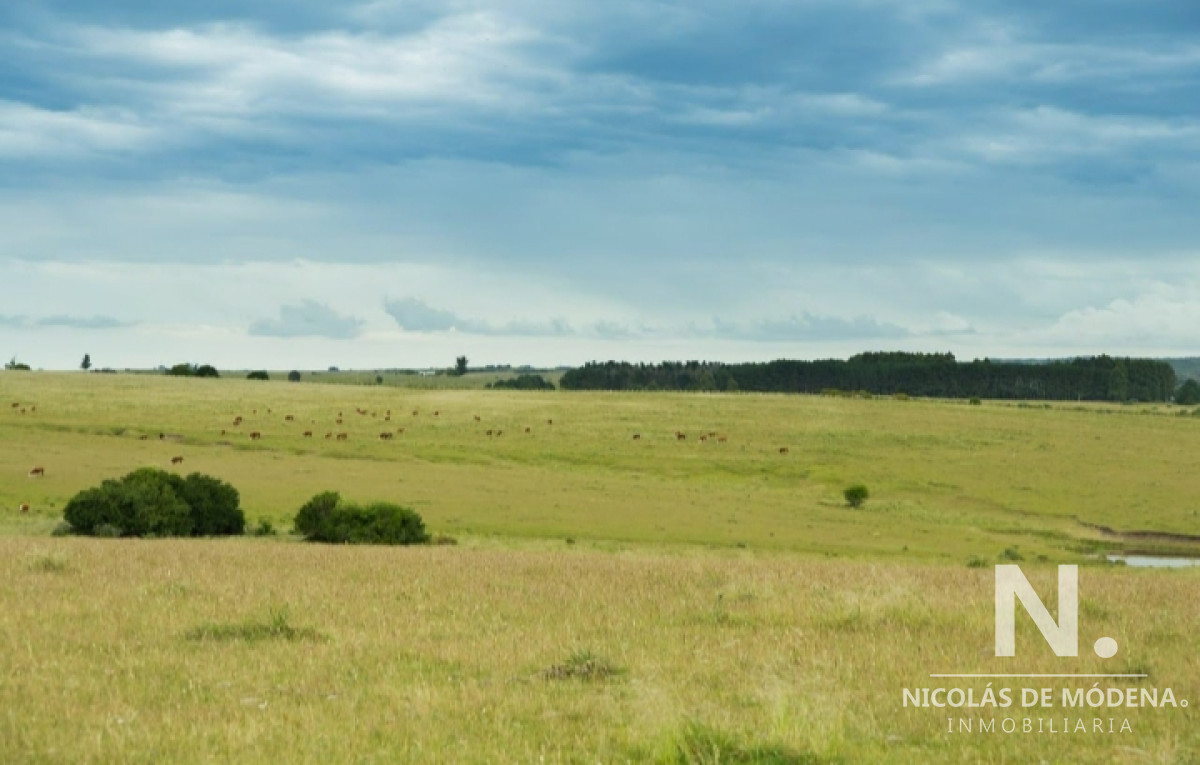 Campo en Jose Ignacio - GoPunta - Portal Inmobiliario de Punta del Este - Maldonado