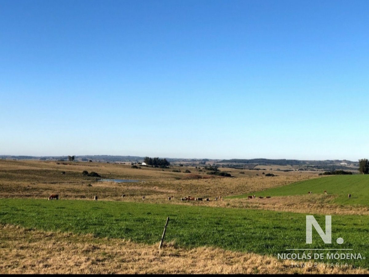 Campo en Jose Ignacio - GoPunta - Portal Inmobiliario de Punta del Este - Maldonado