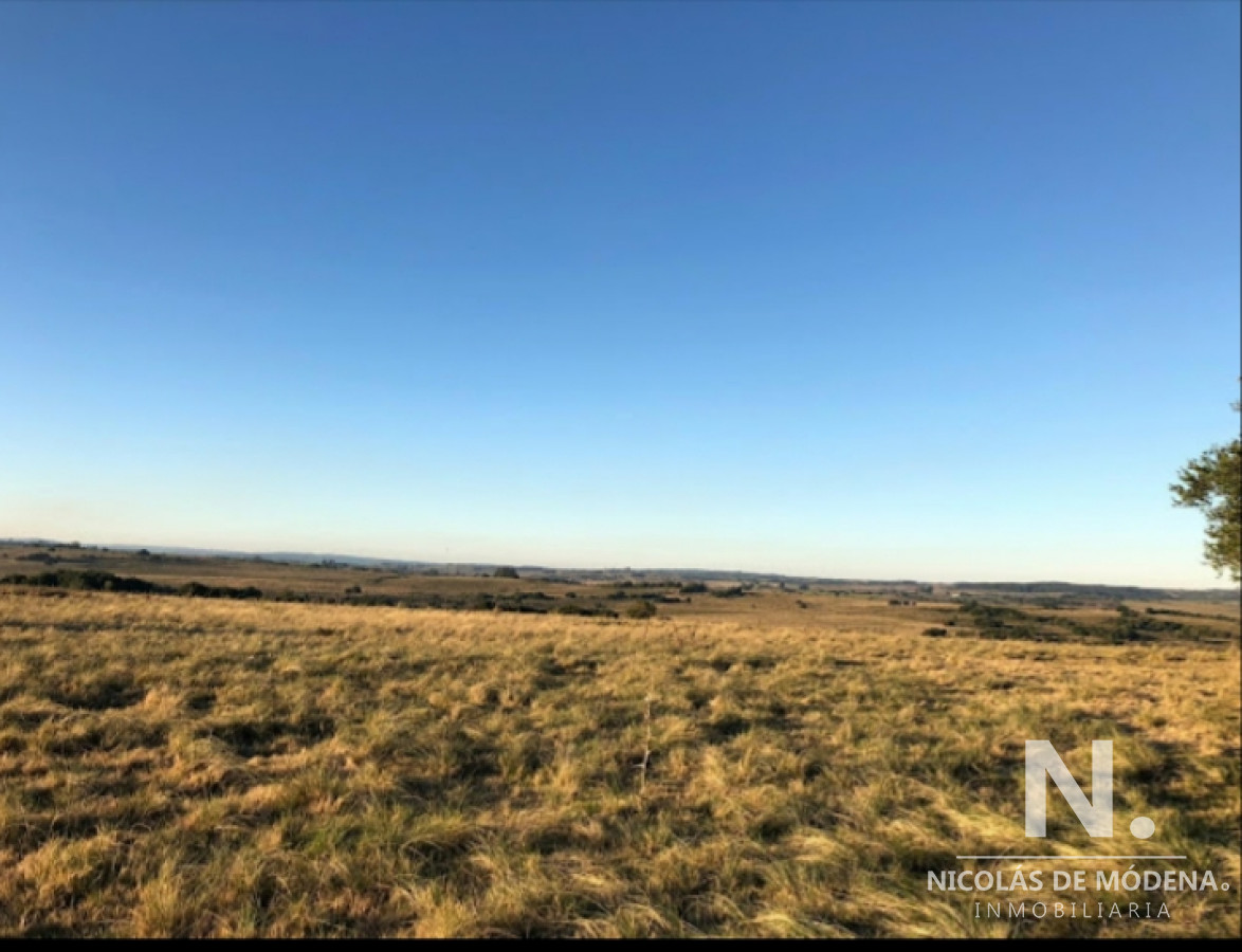 Campo en Jose Ignacio - GoPunta - Portal Inmobiliario de Punta del Este - Maldonado
