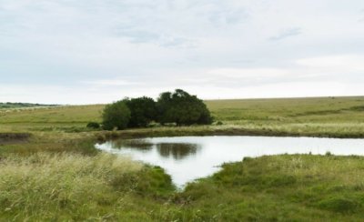 Campo en Jose Ignacio