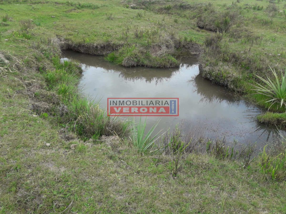 Campo 42 has   consulte !!!!!! - GoPunta - Portal Inmobiliario de Punta del Este - Maldonado