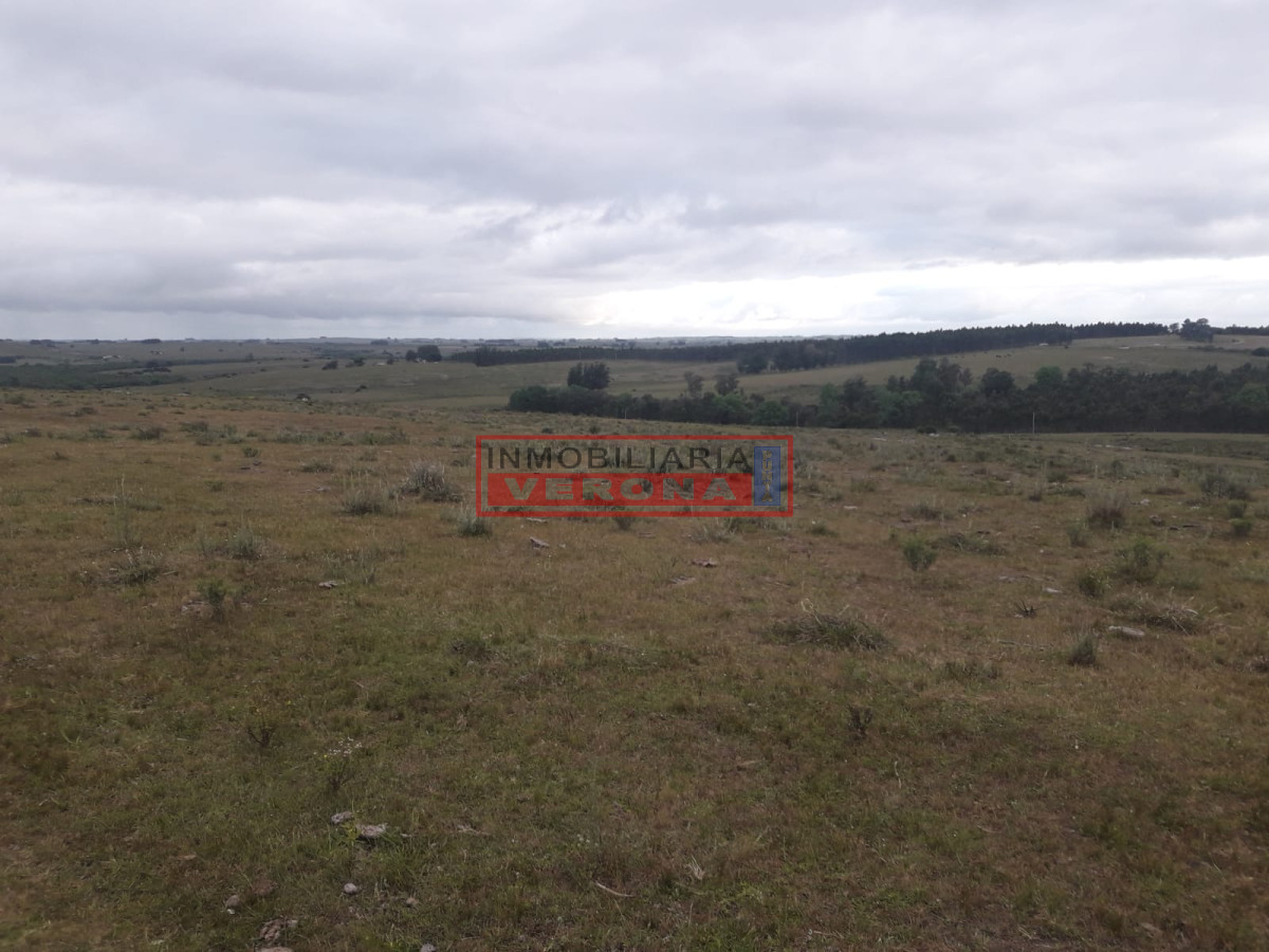 Campo de 47 has en Paraje los Caracoles   Consulte!!! - GoPunta - Portal Inmobiliario de Punta del Este - Maldonado
