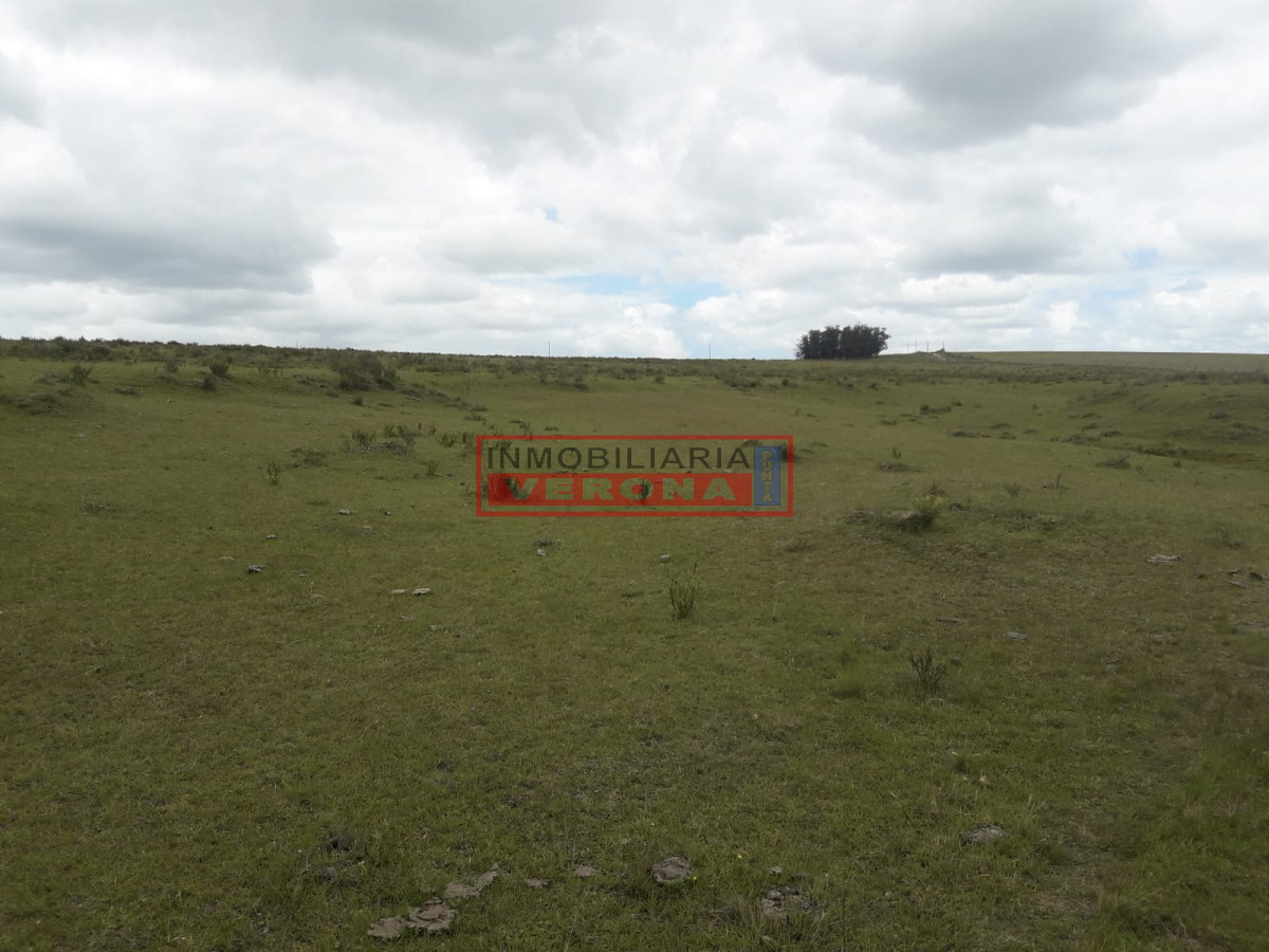 Campo 42 has   consulte !!!!!! - GoPunta - Portal Inmobiliario de Punta del Este - Maldonado