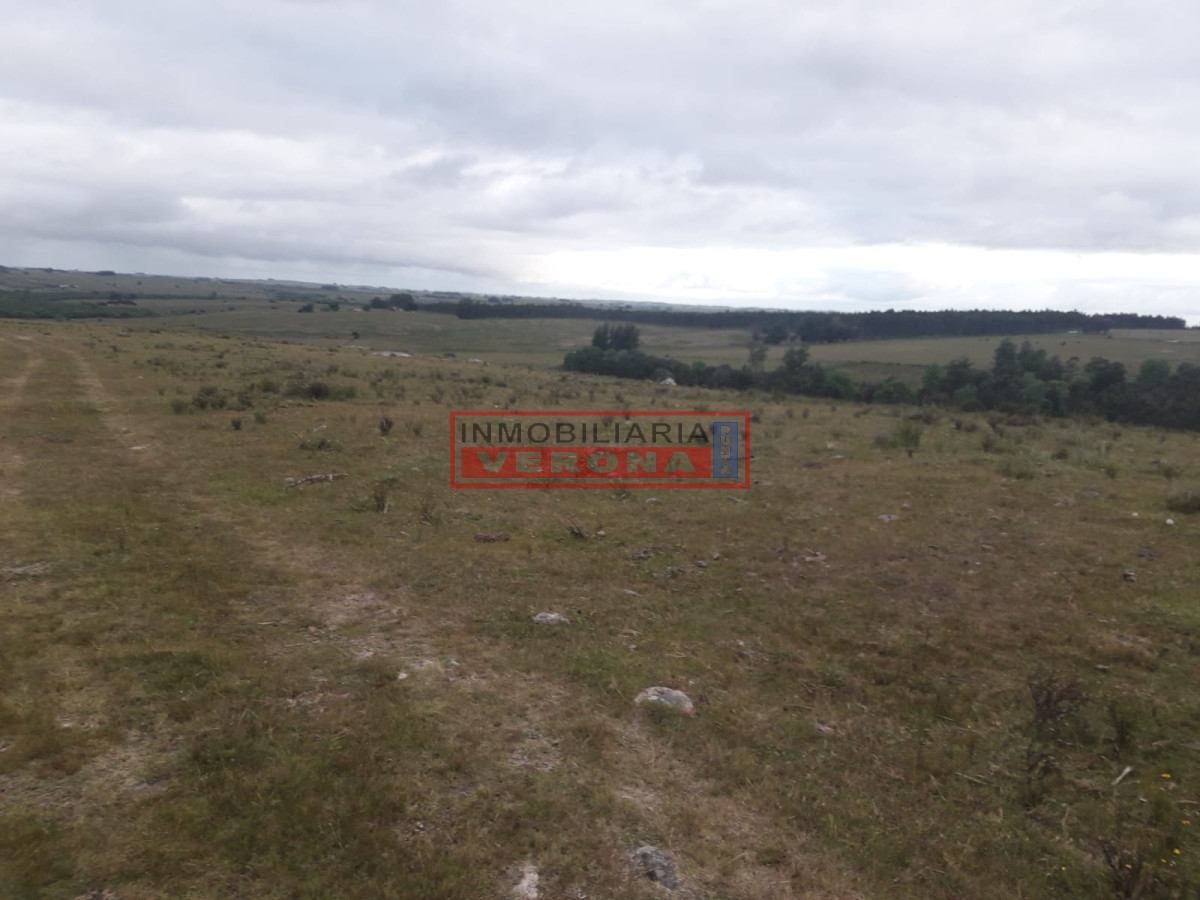 Campo de 47 has en Paraje los Caracoles   Consulte!!! - GoPunta - Portal Inmobiliario de Punta del Este - Maldonado