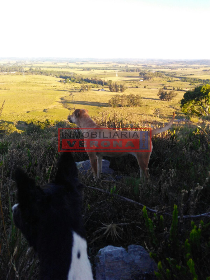 Campo 38 has 8690 m2   Limite Maldonado y Lavalleja   Consulte !!!! - GoPunta - Portal Inmobiliario de Punta del Este - Maldonado