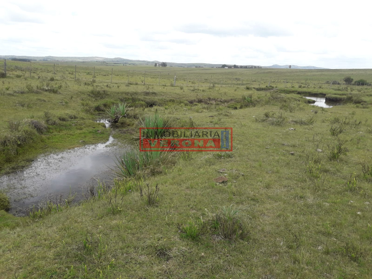 Campo 42 has   consulte !!!!!! - GoPunta - Portal Inmobiliario de Punta del Este - Maldonado