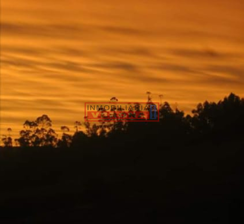 Campo 38 has 8690 m2   Limite Maldonado y Lavalleja   Consulte !!!! - GoPunta - Portal Inmobiliario de Punta del Este - Maldonado