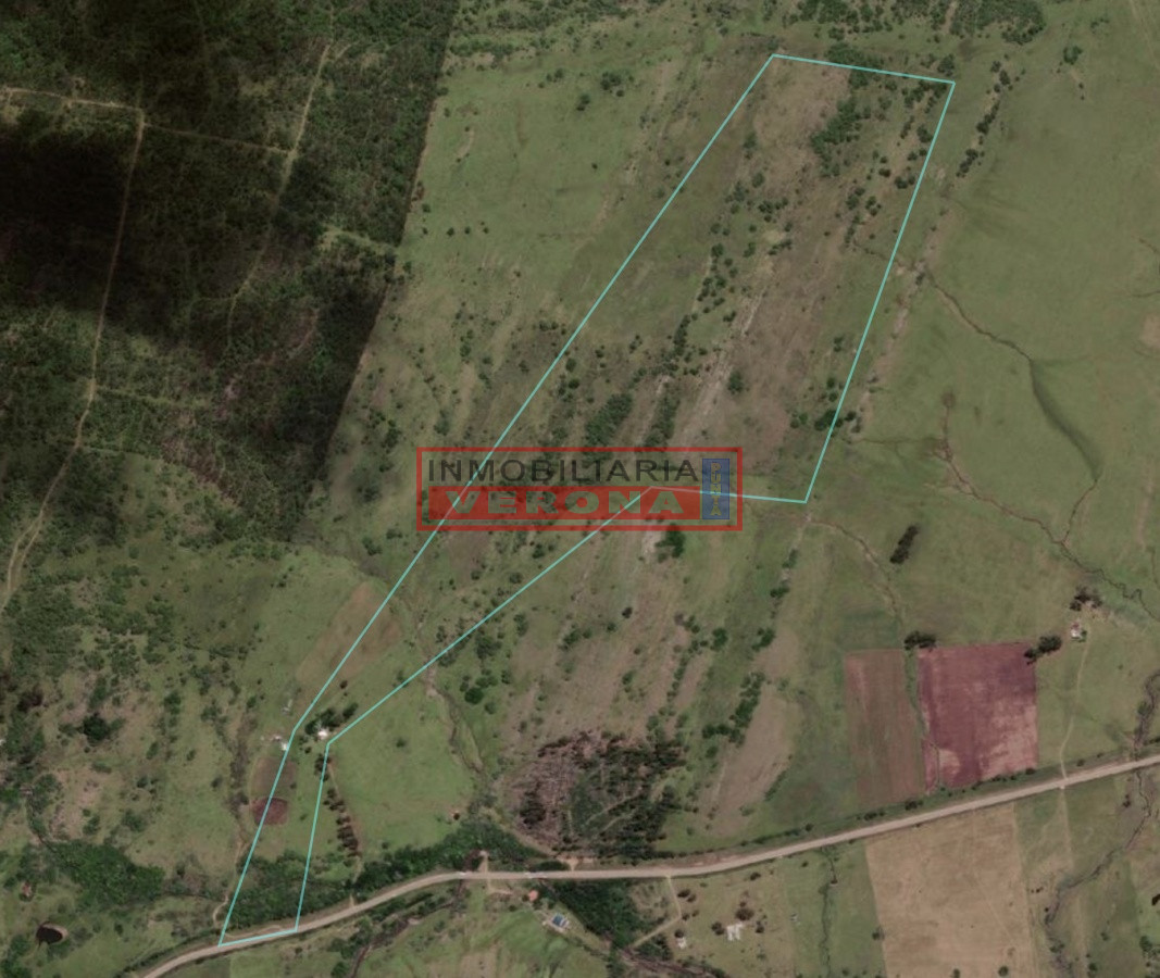 Campo 38 has 8690 m2   Limite Maldonado y Lavalleja   Consulte !!!! - GoPunta - Portal Inmobiliario de Punta del Este - Maldonado