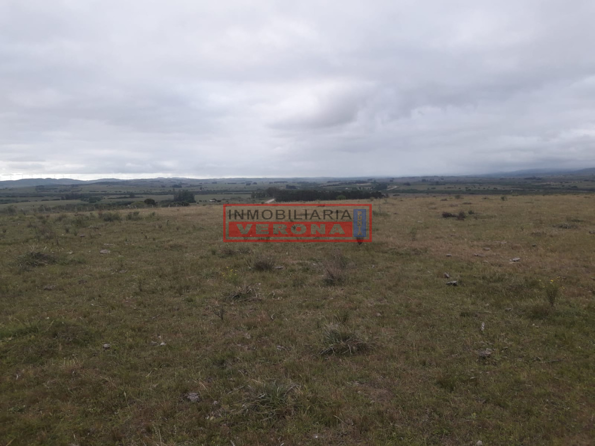 Campo de 47 has en Paraje los Caracoles   Consulte!!! - GoPunta - Portal Inmobiliario de Punta del Este - Maldonado
