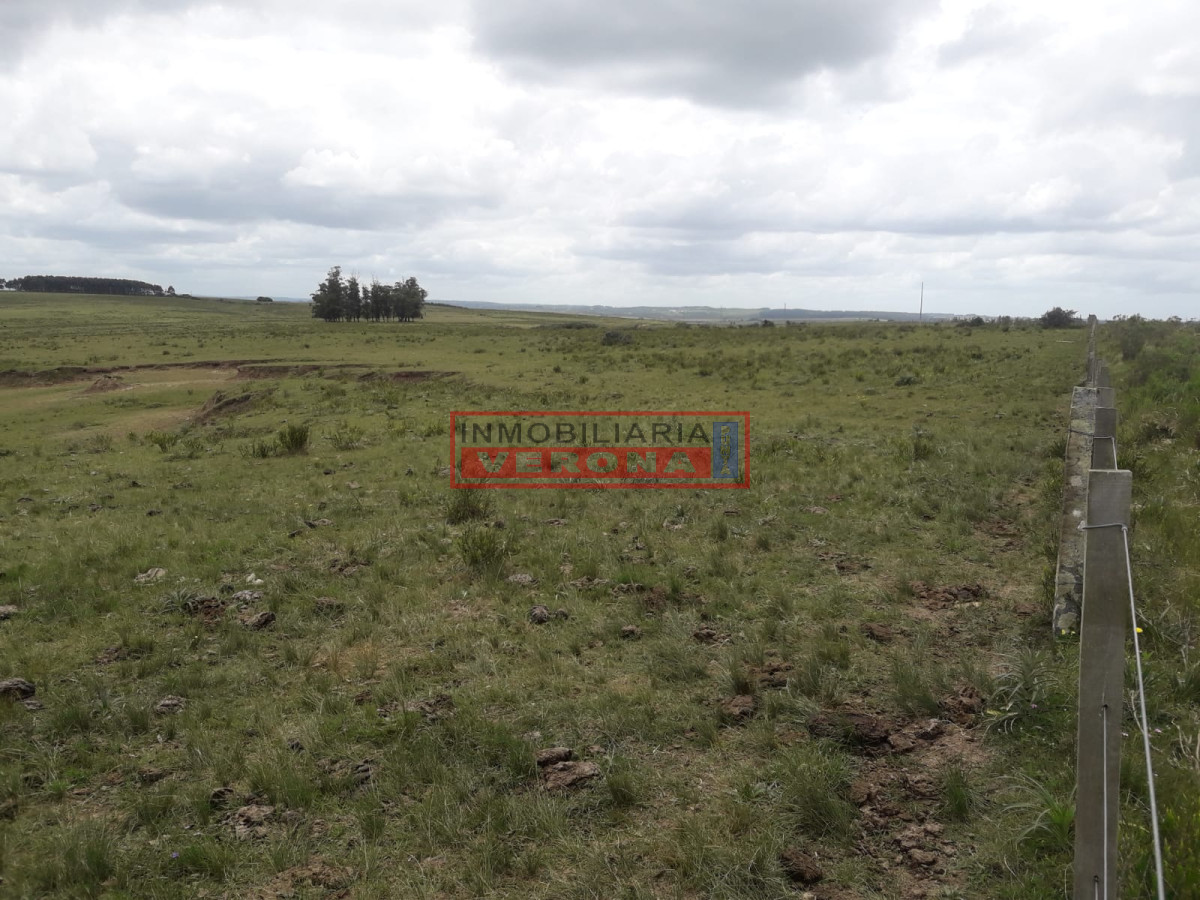Campo 42 has   consulte !!!!!! - GoPunta - Portal Inmobiliario de Punta del Este - Maldonado
