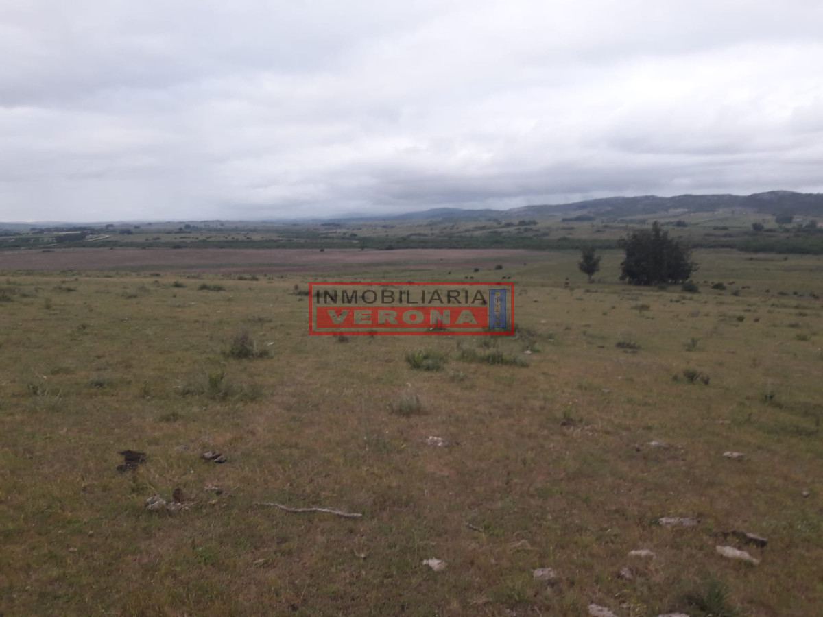 Campo de 47 has en Paraje los Caracoles   Consulte!!! - GoPunta - Portal Inmobiliario de Punta del Este - Maldonado
