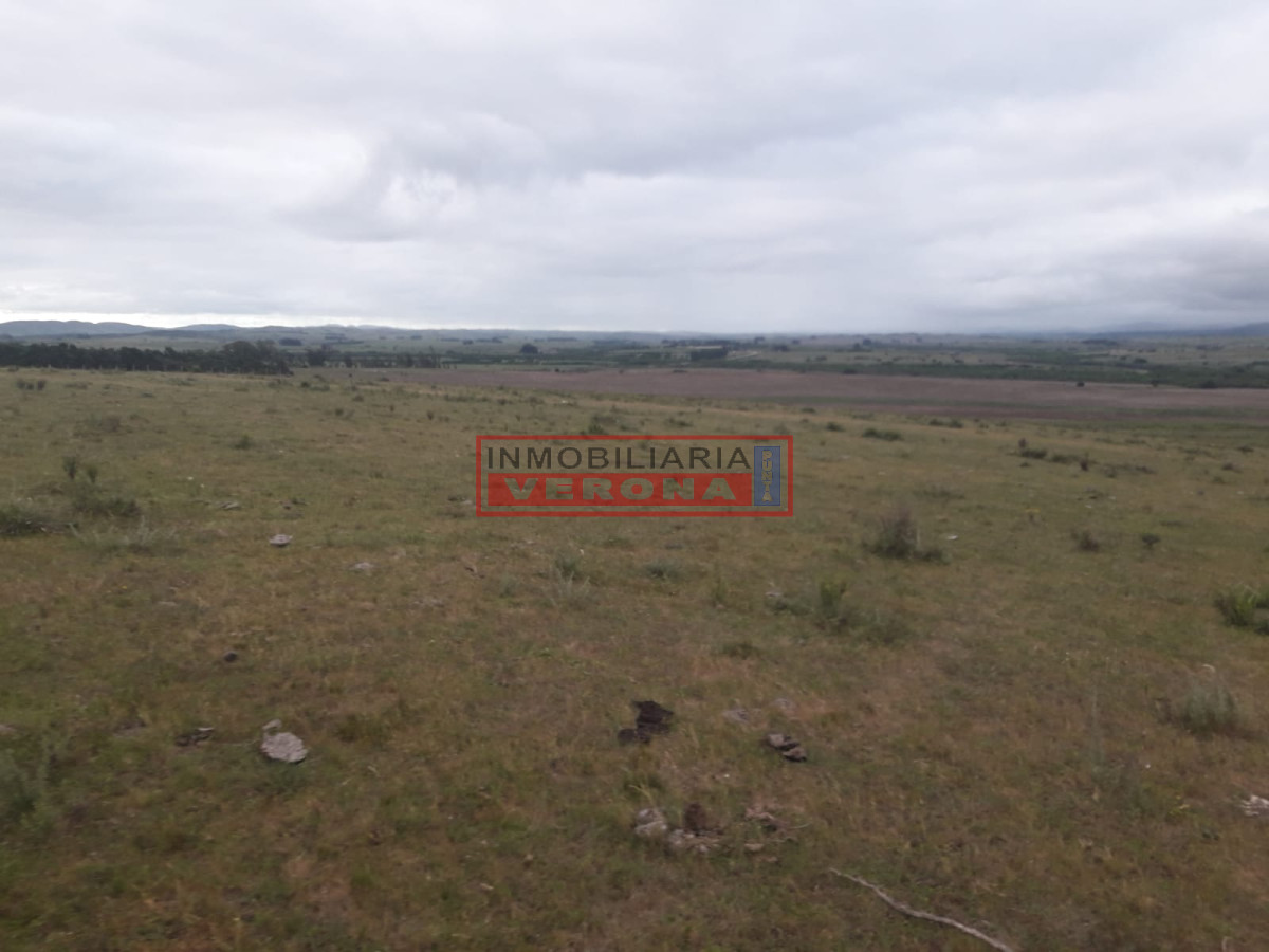 Campo de 47 has en Paraje los Caracoles   Consulte!!! - GoPunta - Portal Inmobiliario de Punta del Este - Maldonado