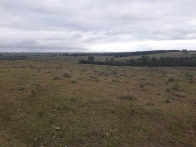 Campo de 47 has en Paraje los Caracoles - Consulte!!!