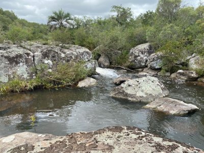 7 chacras de 5 has cada una a 20 km de Aigua por ruta 39 - Consulte !!!!!