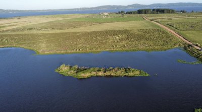 Chacra 5 has 6000 m2 en Laguna del sauce