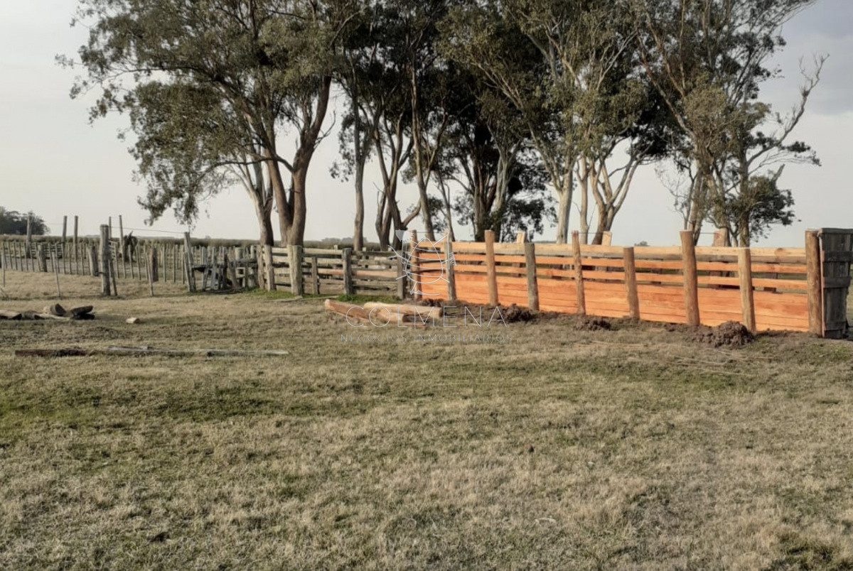 Propiedad - GoPunta - Portal Inmobiliario de Punta del Este - Maldonado