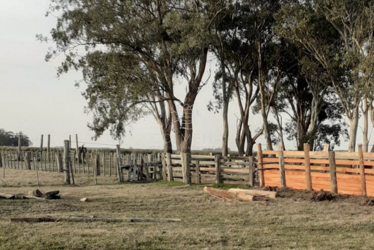 Propiedad - GoPunta - Portal Inmobiliario de Punta del Este - Maldonado