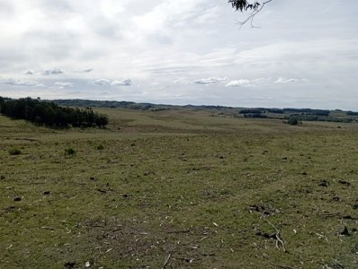 Campo en Rocha