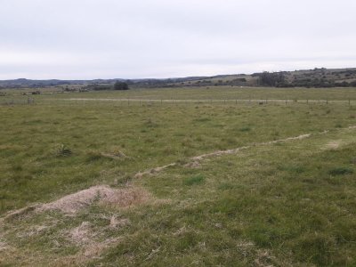 Campo a 5 km de pueblo Garzon - Coneat 106