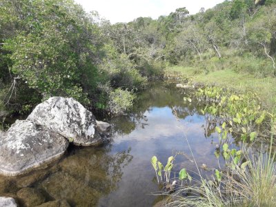 Campo cerca de Pueblo Eden - Consulte !!!!!!!