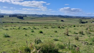 Campo en Carape 