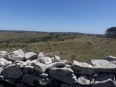 Campo en Carape - Departamento de Maldonado