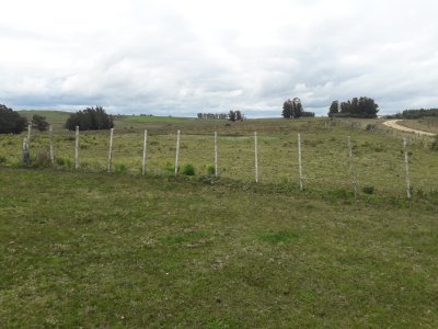 Campo de 21 has con 6010 m2 en paraje Jose Ignacio