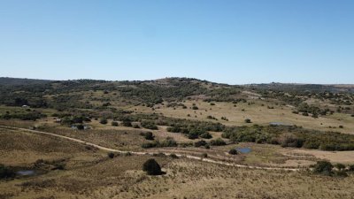 Campo 86 has 6937 m2 en la Cañas