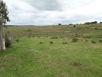 Campo en las Cañas de 59 has, cuenta con casa, luz, instrucciones para trabajar con ganado, arroyo, cañada y monte natural. Consulte!!!!!