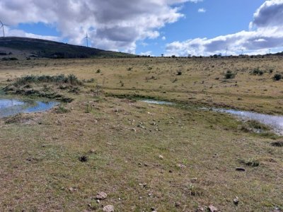 Campo en partido norte