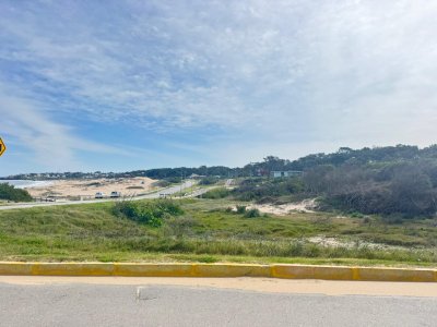 Terreno 1023 m2 en Punta Colorada con vista frente al mar primera linea
