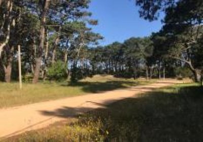 Terreno en Rincon del Indio a pocas cuadra de la playa brava