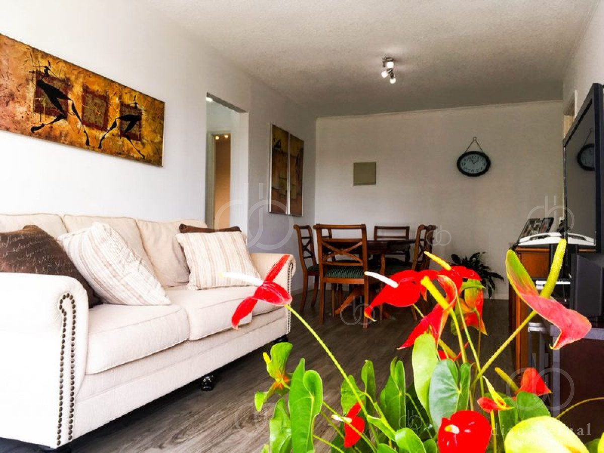 Roosevelt - GoPunta - Portal Inmobiliario de Punta del Este - Maldonado
